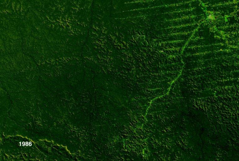 Deforestation of Rondonia, Brazil (with dates), from 1975 to 2001