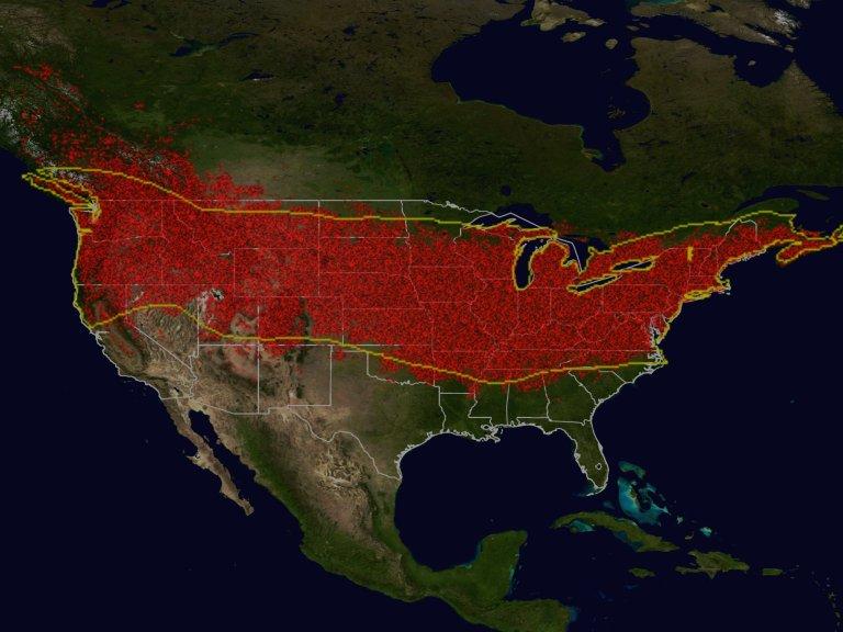 Mosquito Distribution Maps