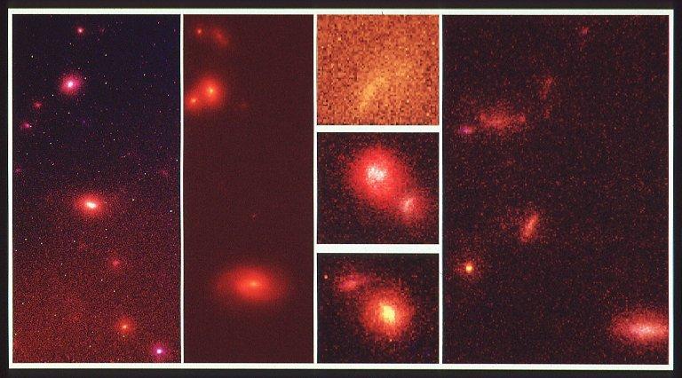 Hubble Space Telescope Sky Survey Reveals Embryonic Galaxies